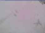 20240124_134001-1.jpg 
