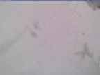 20240124_140001-1.jpg 