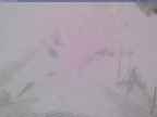 20240124_152001-1.jpg 