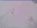 20240124_154002-1.jpg 