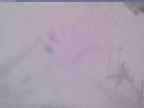 20240124_160001-1.jpg 
