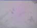 20240124_162001-1.jpg 