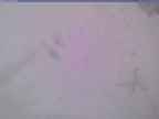 20240124_164001-1.jpg 