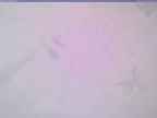 20240125_080002-1.jpg 