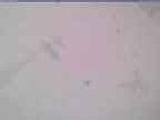 20240125_094001-1.jpg 