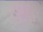 20240125_102001-1.jpg 