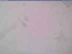 20240125_110001-1.jpg 