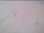 20240125_114002-1.jpg 