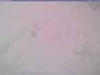 20240125_122002-1.jpg 