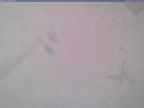 20240125_130001-1.jpg 
