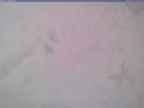 20240125_132002-1.jpg 
