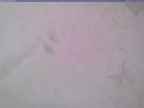 20240125_134001-1.jpg 