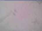20240125_140002-1.jpg 