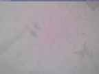 20240125_142002-1.jpg 