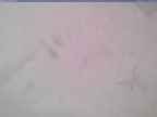 20240125_144002-1.jpg 