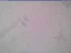 20240125_150001-1.jpg 
