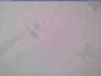 20240125_154001-1.jpg 