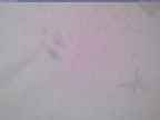 20240125_160001-1.jpg 
