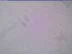 20240125_162002-1.jpg 