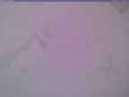 20240125_170001-1.jpg 