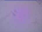 20240125_172002-1.jpg 