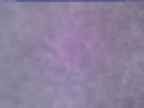20240127_170001-1.jpg 