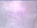 20240129_120002-1.jpg 