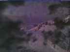 20240129_172001-1.jpg 