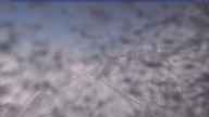 20240204_110002.jpg 