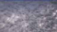 20240206_100001.jpg 