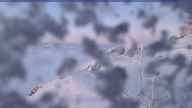 20240206_172002.jpg 