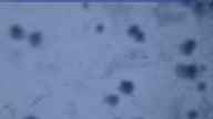 20240207_172002.jpg 
