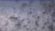 20240211_100002.jpg 