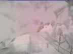 20240211_164001-1.jpg 