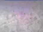 20240212_104001-1.jpg 