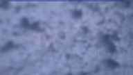 20240215_064002.jpg 