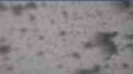 20240215_084002.jpg 
