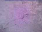 20240219_062002-1.jpg 