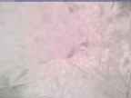 20240219_080002-1.jpg 