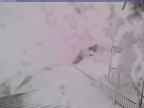 20240219_144002-1.jpg 