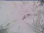 20240219_150001-1.jpg 