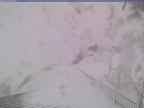 20240219_162002-1.jpg 