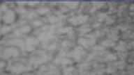 20240220_100002.jpg 