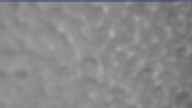 20240222_124002.jpg 