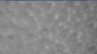 20240222_130002.jpg 