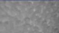 20240222_140001.jpg 