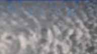 20240224_114002.jpg 