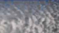 20240224_120002.jpg 