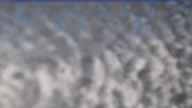 20240224_122001.jpg 