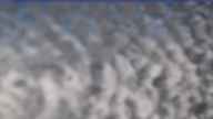 20240224_124002.jpg 